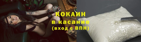 PSILOCYBIN Вязники