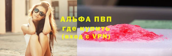 PSILOCYBIN Вязники