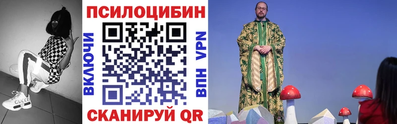 дарнет шоп  Зерноград  Галлюциногенные грибы мухоморы 